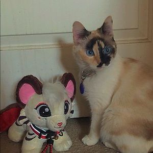 Meet your Posher, Kylee